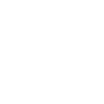 WSU Logo